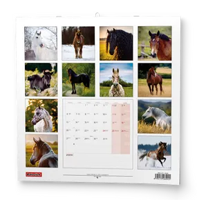 Wandkalender - Pferde